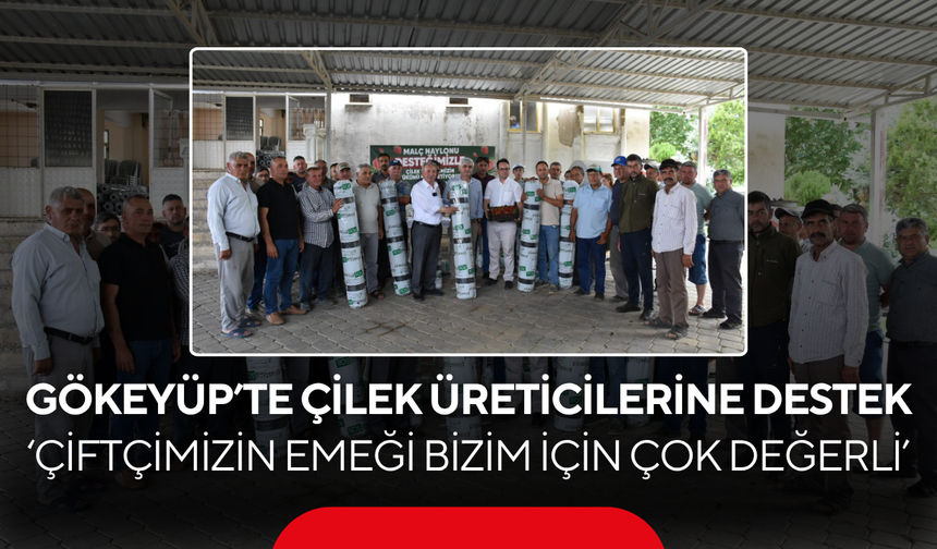 Gökeyüp’te çilek üreticilerine  destek...  ‘Çiftçimizin emeği bizim için çok değerli’