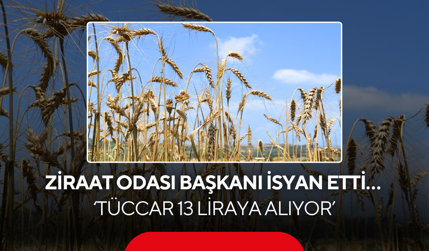 Ziraat Odası Başkanı isyan etti… ‘Tüccar 13 liraya alıyor, çiftçi zarar ediyor’