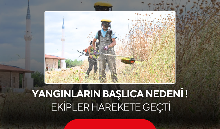 Yangınların başlıca nedeni! Ekipler harekete geçti