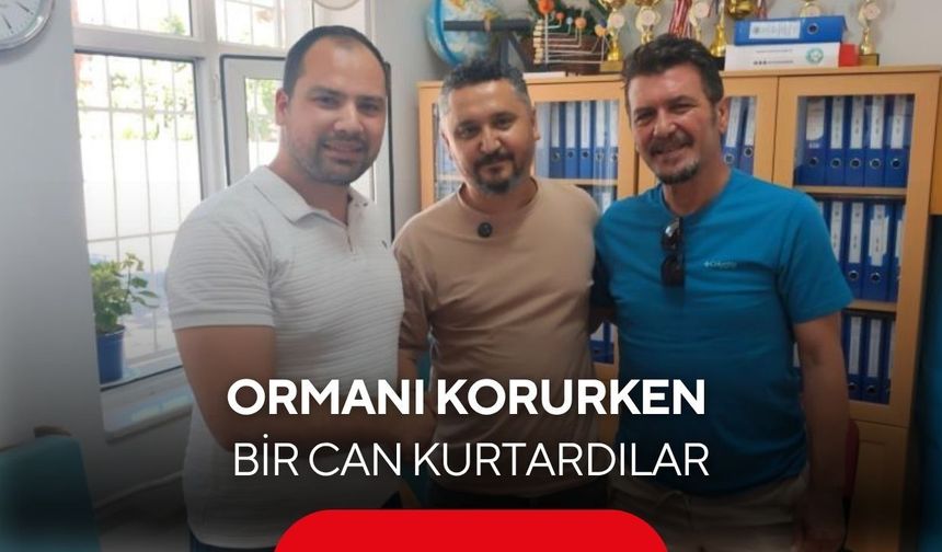 Eşek arısı soktu, bilincini kaybetmek üzereydi: Gönüllüler zamana karşı yarıştı