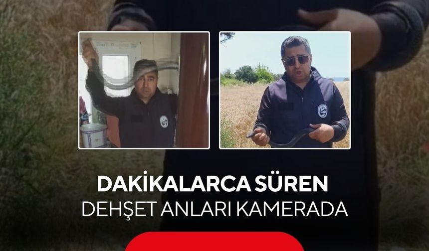 Cesaretin adı yılancı Kemal! 1,5 metrelik karayılanı aparatsız yakaladı...