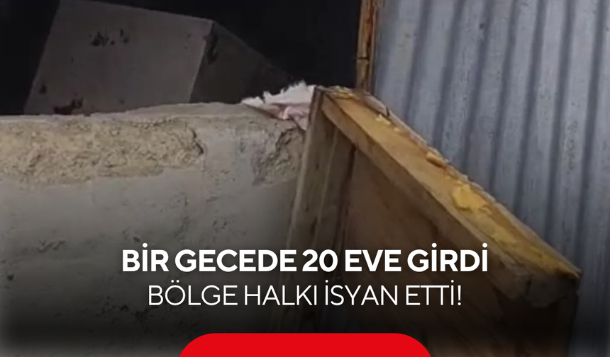 Gece ortaya çıktı, 20 evi talan etti! Bölge halkı tedirgin