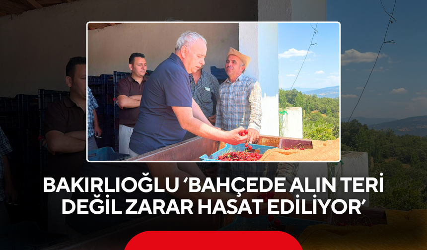 Bakırlıoğlu ‘Bahçede alın teri değil zarar hasat ediliyor’