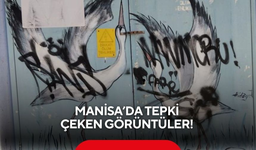 Manisa’da tepki çeken görüntüler! Sanatsal çalışmalar vandalların hedefi oldu