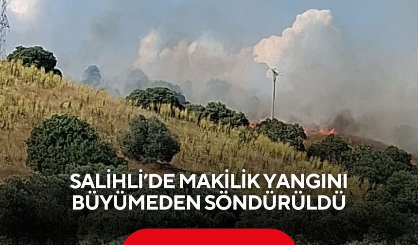 Salihli’de makilik yangını! Ekipler ve vatandaşlar seferber oldu