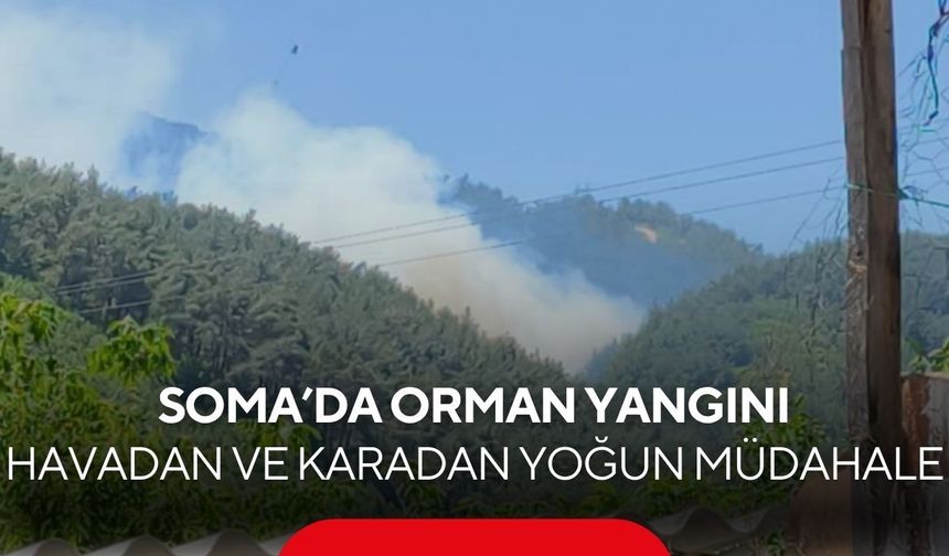 Soma’da orman yangını! Havadan ve karadan yoğun müdahale...