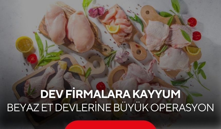 Türkiye’nin beyaz et sektöründe deprem! Kayyum atandı, CEO’lar gözaltında!