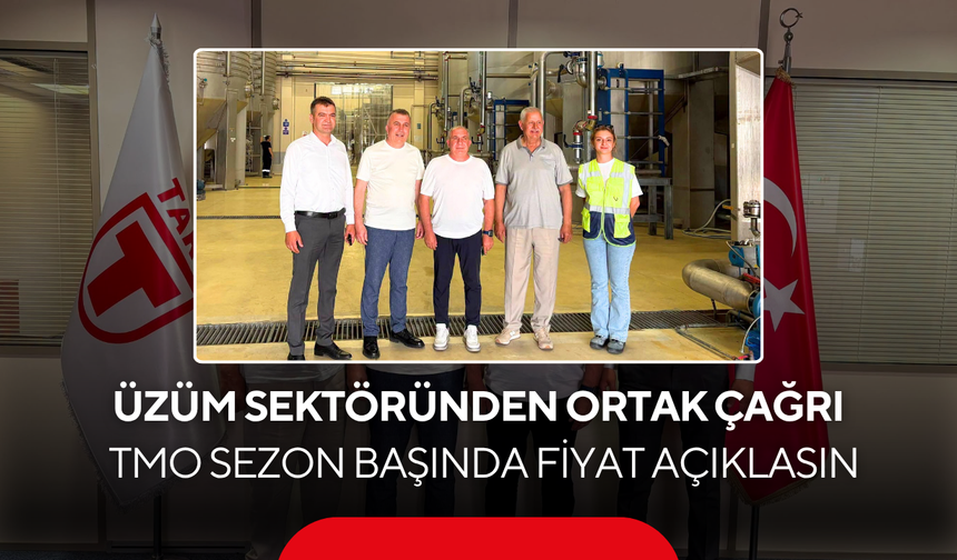 Binlerce üzüm üreticisini ilgilendiriyor... 'TMO Sezon Başında Fiyat Açıklasın'