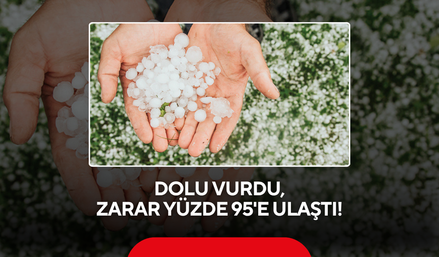 Dolu Birkaç Saatte Bir Yıllık Emeği Yok Etti !