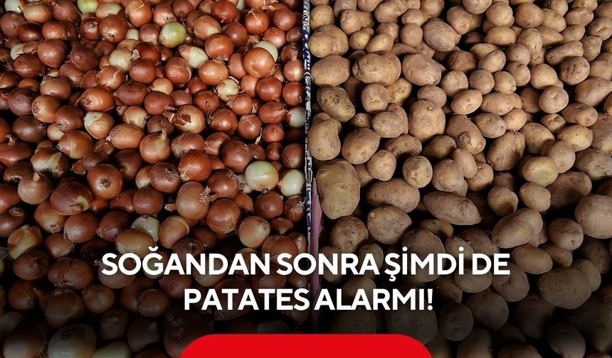 75 TL'yi gören soğanın ardından yeni zam sinyali! Sırada patates var...
