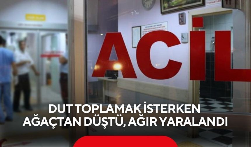 Salihli'de dut toplarken ağaçtan düştü! Ağır yaralandı