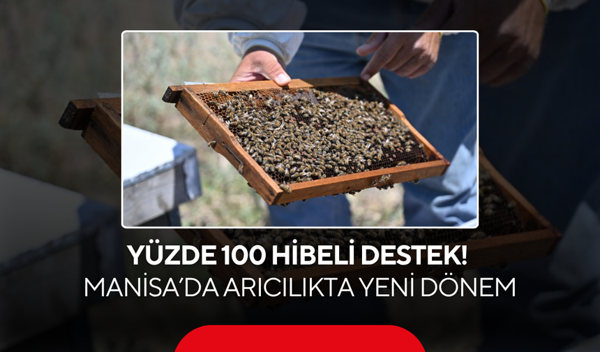 Yüzde 100 Hibeli Destek! Manisa’da Arıcılıkta Yeni Dönem