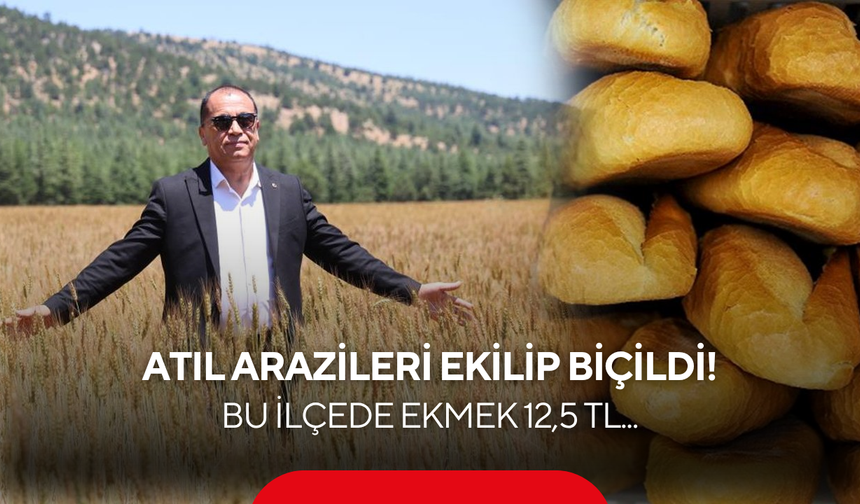 Atıl arazileri ekilip biçildi, ucuza ekmek oldu! Bu ilçede ekmek 12,5 TL...