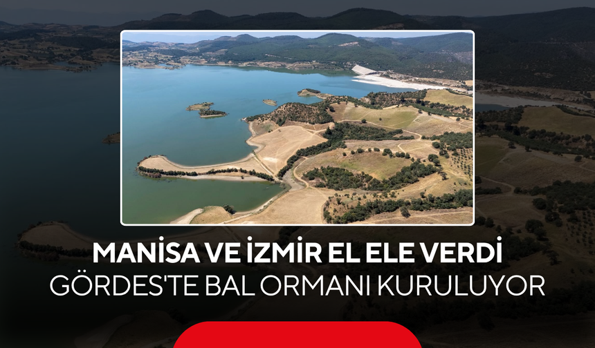 Manisa ve İzmir el ele verdi... Gördes'te bal ormanı kuruluyor