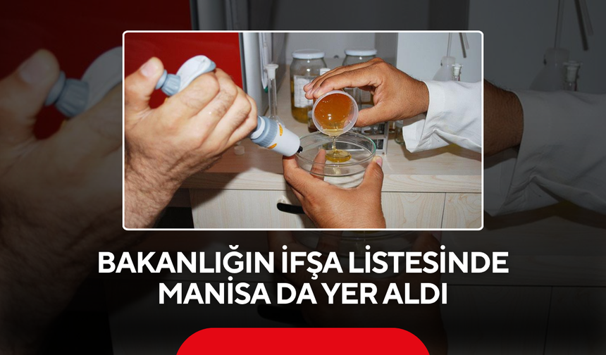 Bakanlığın ifşa listesinde Manisa da yer aldı