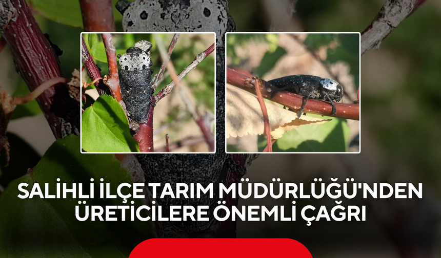 Salihli İlçe Tarım Müdürlüğü'nden üreticilere önemli çağrı