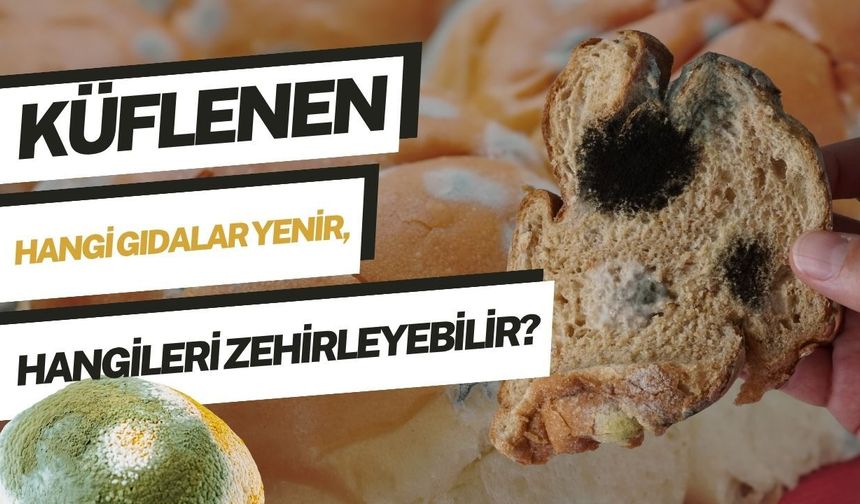 Küflü Gıda Yenir mi? Küflenen Hangi Gıdalar Tüketilebilir, Hangileri Kesinlikle Atılmalı?