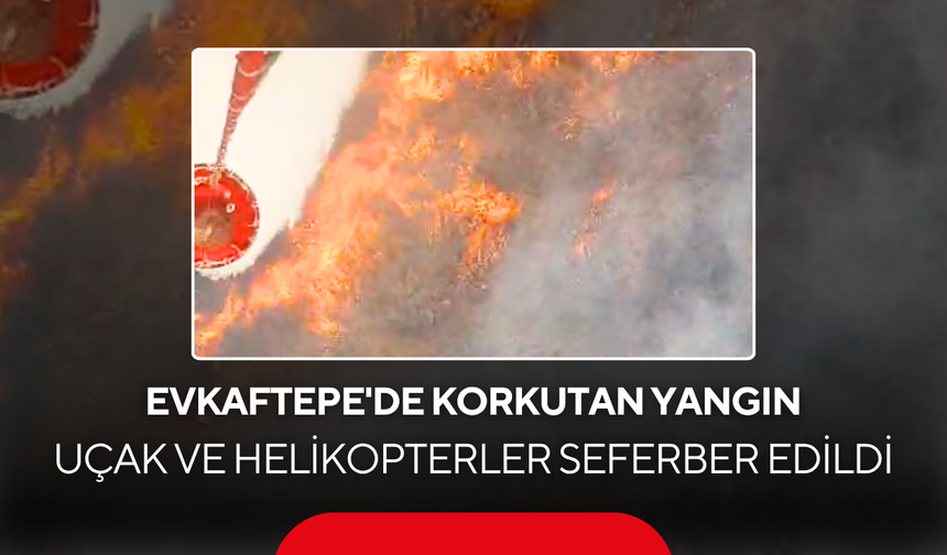 Evkaftepe'de korkutan yangın... Uçak ve helikopterler seferber edildi