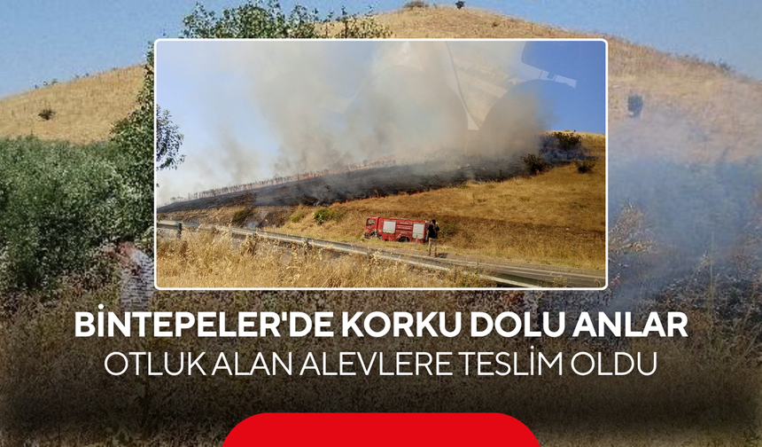 Bintepeler'de korku dolu anlar… Otluk Alan Alevlere Teslim Oldu