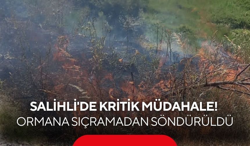 Salihli'de kritik müdahale! Yangın ormana sıçramadan söndürüldü