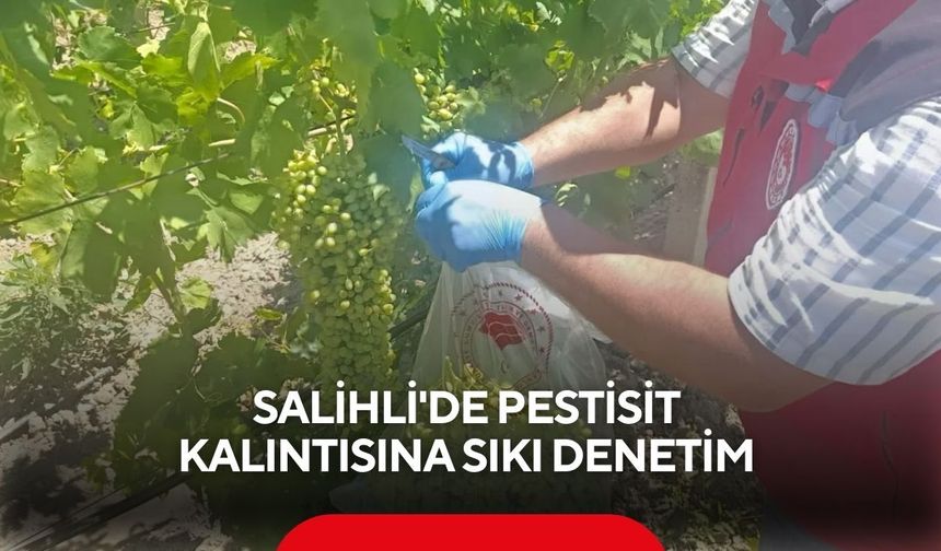 Pestisit kalıntısına geçit yok! Salihli'de üzümler denetleniyor