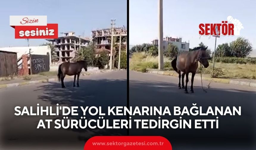 Salihli'de yol kenarına bağlanan at sürücüleri tedirgin etti