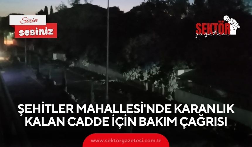 Şehitler Mahallesi'nde karanlık kalan cadde için bakım çağrısı