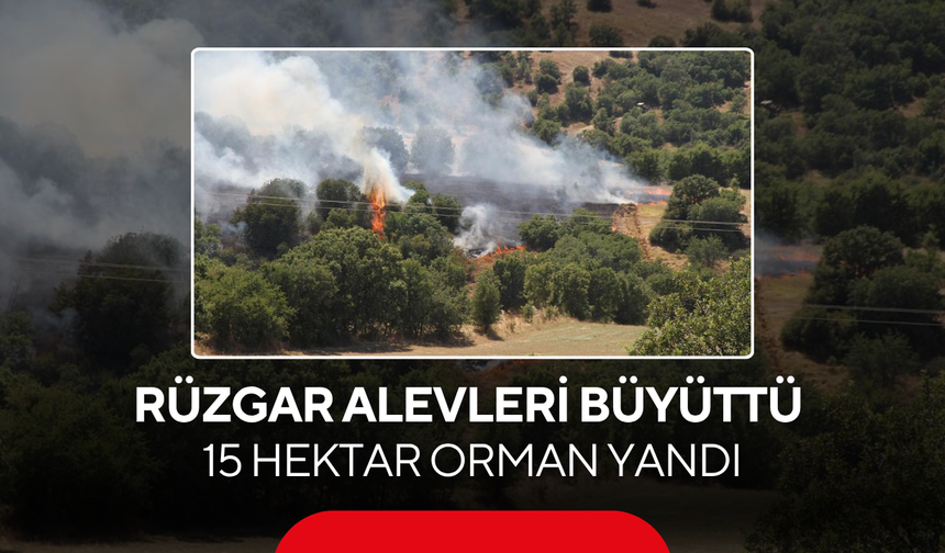 Bir Kıvılcımın Bedeli Ağır Oldu... 15 Hektarlık Orman Yok Oldu