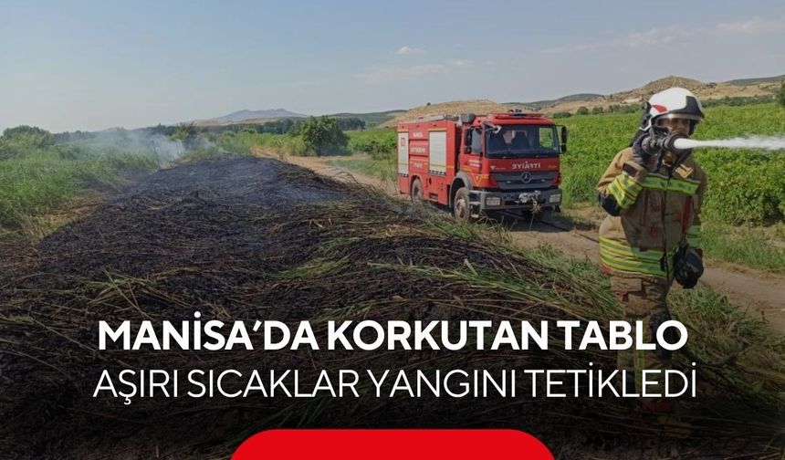 Sıcak, rüzgar, düşük nem! Manisa’da yangın riski patladı...
