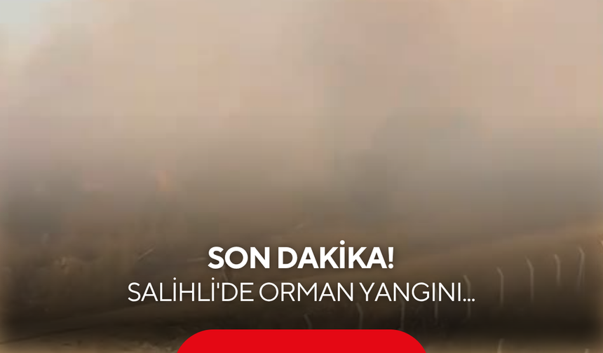 Son dakika! Salihli'de orman yangını... Alevler yükseliyor