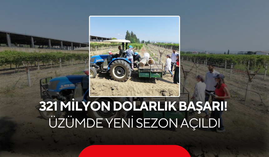 Manisa'dan 321 Milyon Dolarlık Başarı! Üzümde Yeni Sezon Açıldı