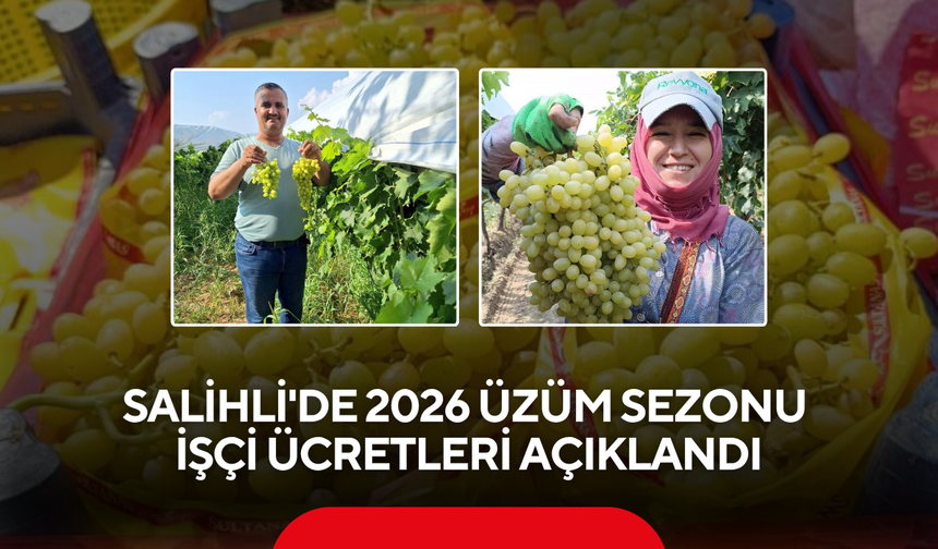 Salihli'de 2026 Üzüm Sezonu İşçi Ücretleri Açıklandı