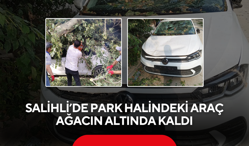 Salihli’de Park Halindeki Araç Ağacın Altında Kaldı