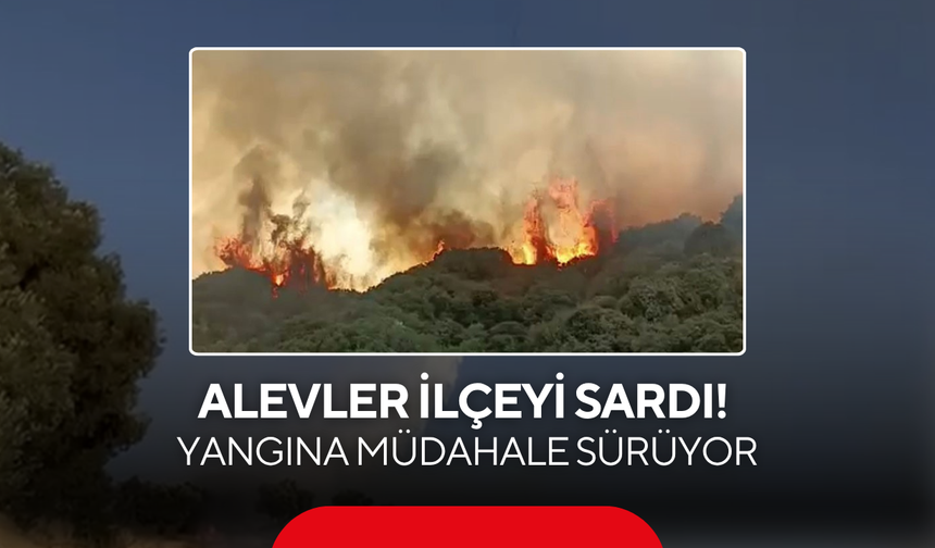Alevler Turgutlu’yu sardı! Yangına müdahale sürüyor