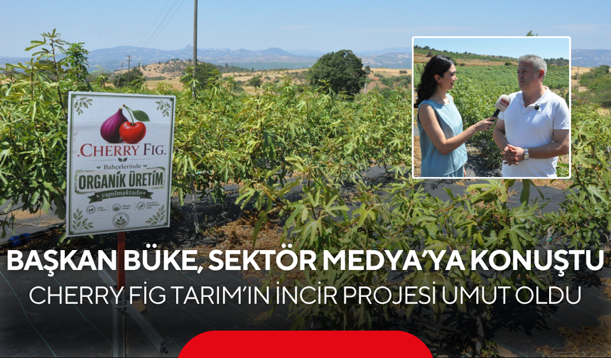 Başkan Büke, Sektör Medya’ya Konuştu…  Cherry Fig Tarım’ın İncir Projesi Umut Oldu