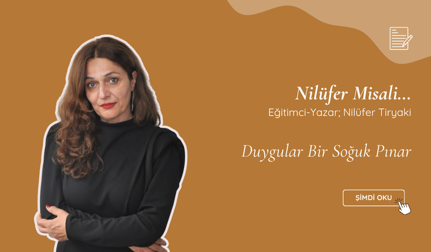 Duygular Bir Soğuk Pınar