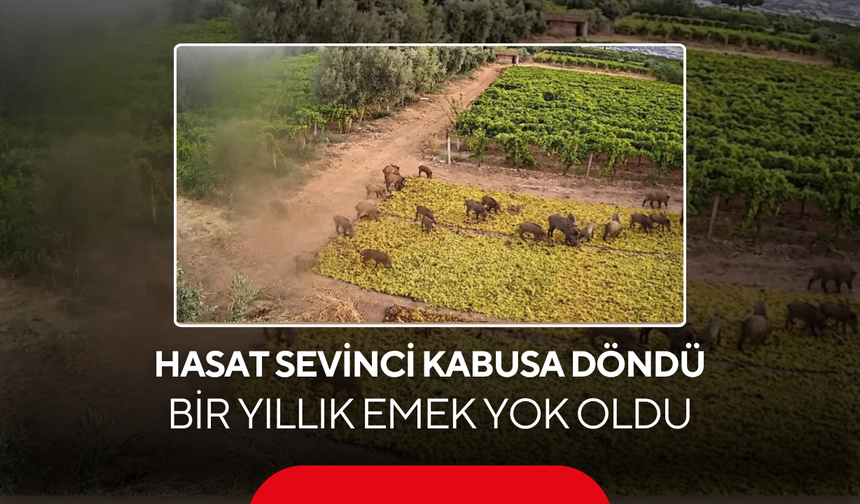 Bir yıllık emek dakikalar içinde yok oldu