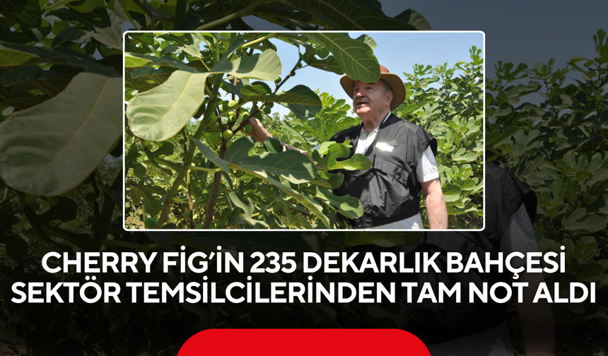 Cherry Fig’in 235 dekarlık bahçesi sektör temsilcilerinden tam not aldı