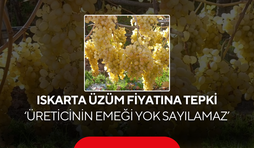 İYİ Parti’den ıskarta üzüm fiyatına tepki 'Üreticinin emeği yok sayılamaz'