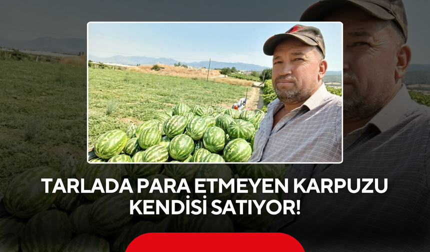 Tarlada Para Etmeyen Karpuzu Kendisi Satıyor!
