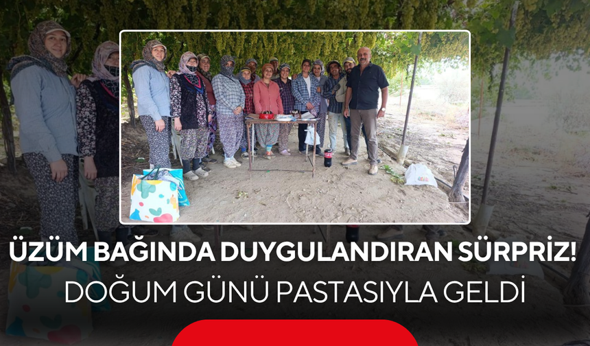 Bağda Sadece Üzüm Değil, Mutluluk da Hasat Edildi