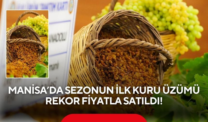 Manisa'da İlk kuru üzüm 4 bin TL'den satıldı, üretici asıl fiyatı bekliyor