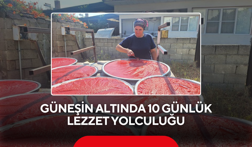 Güneşin Altında 10 Günlük Lezzet Yolculuğu