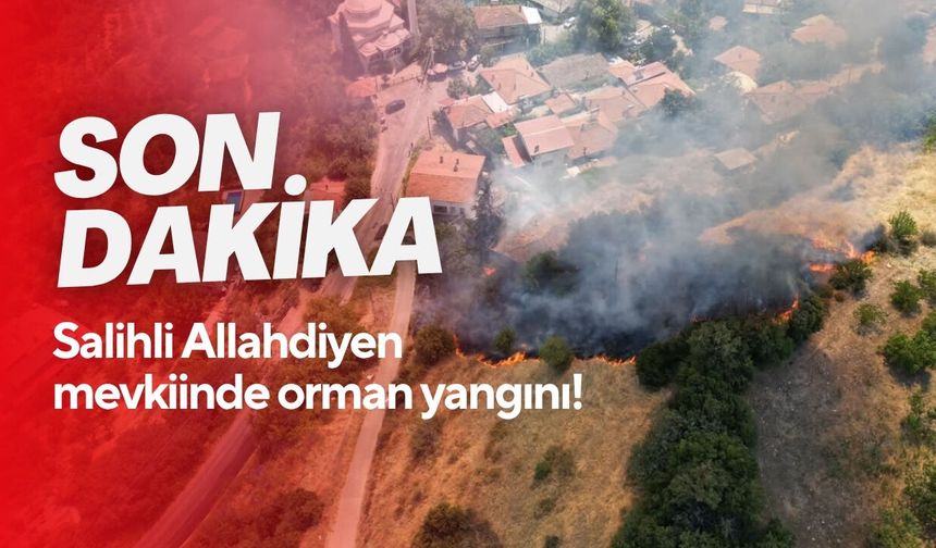 Son Dakika! Salihli Allahdiyen mevkiinde orman yangını!