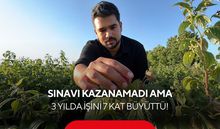 Sınavı kazanamadı ama 3 yılda servet değerinde bir alan kurdu: İşte o konsept!