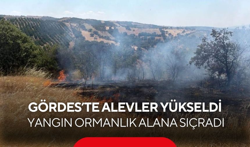 Tarım arazisinde başlayan yangın ormana yayıldı... Havadan ve karadan müdahale sonucu yangın kontrol altına alındı