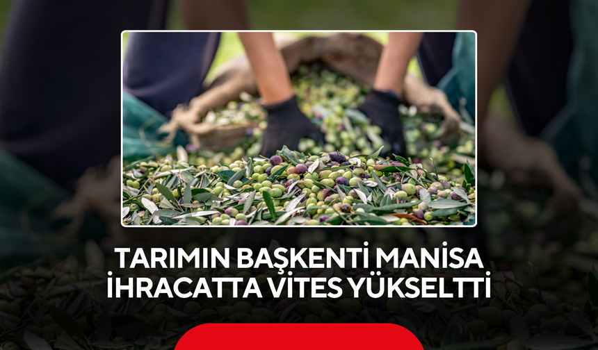 Tarımın başkenti Manisa ihracatta vites yükseltti