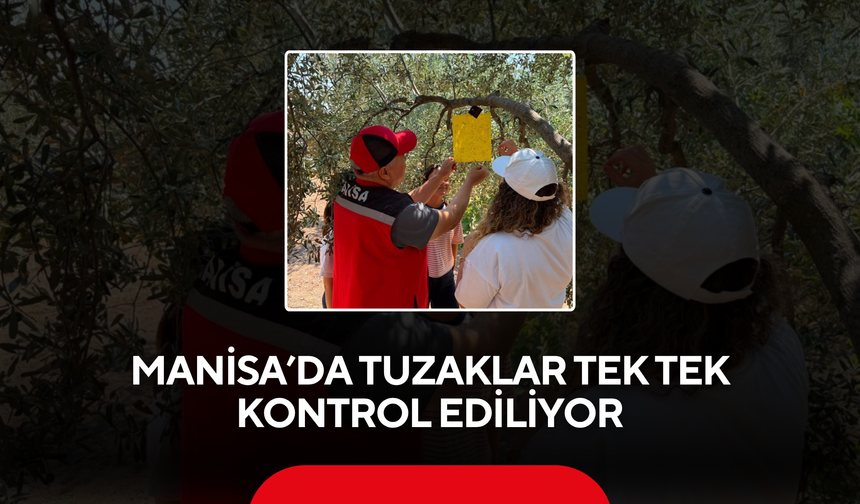 Manisa’da Tuzaklar Tek Tek Kontrol Ediliyor