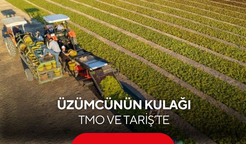 Manisa'da üzümcünün kulağı TMO ve TARİŞ’te