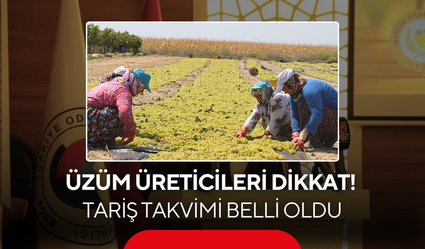 Üzüm Üreticileri Dikkat! TARİŞ Takvimi Belli Oldu